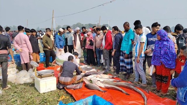 জামাই মেলায় মাছ কেনা নিয়ে জামাই-শ্বশুরের প্রতিযোগিতা