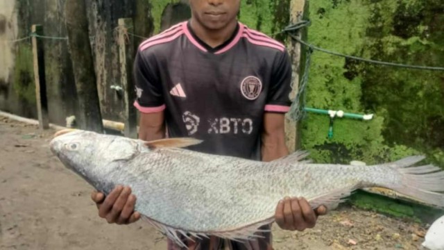 সেন্টমার্টিনে ১৮ কেজির কালা পোপা, বিক্রি হলো ৯৫ হাজার টাকায়