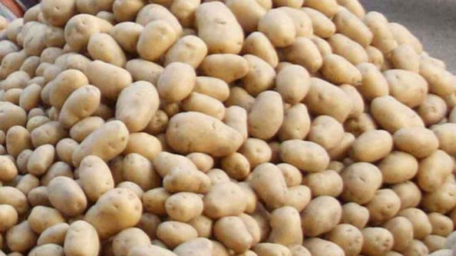 ২২ টাকা আলুর ন্যূনতম দাম , সরকার কিনবে ৫০ হাজার টন
