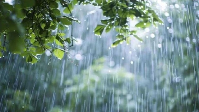 আগামী পাঁচ দিনের বৃষ্টির খবর জানালো আবহাওয়া অফিস
