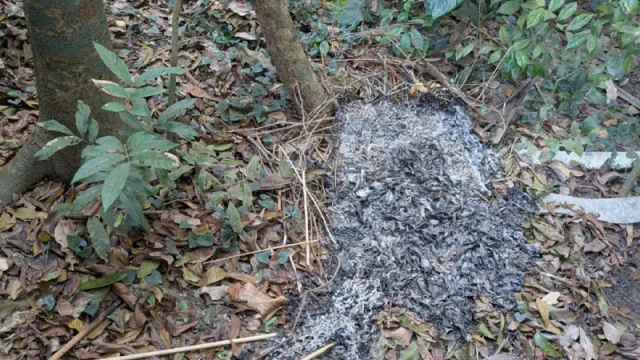 বীর মুক্তিযোদ্ধার কবরে আগুন, এলাকাজুড়ে ক্ষোভ