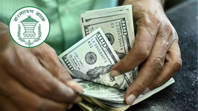 ভোটের আগে চাঙা রেমিট্যান্স, জানুয়ারিতে এলো ৩.১৭ বিলিয়ন ডলার