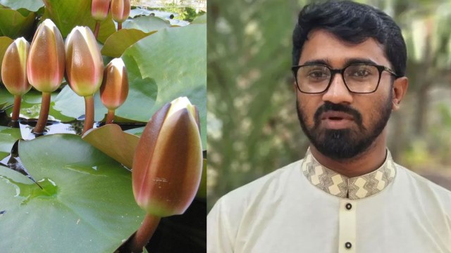 এনসিপির জন্য ‘শাপলা কলি’ প্রতীক প্রস্তাব করেছিলেন রাশেদ খান