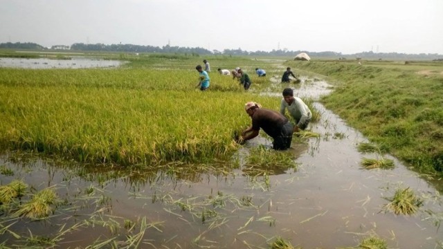 সিলেট বিভাগের সুনামগঞ্জ জেলায় বজ্রপাতে এক শিক্ষার্থীসহ চারজনের মৃত্যু হয়েছে।